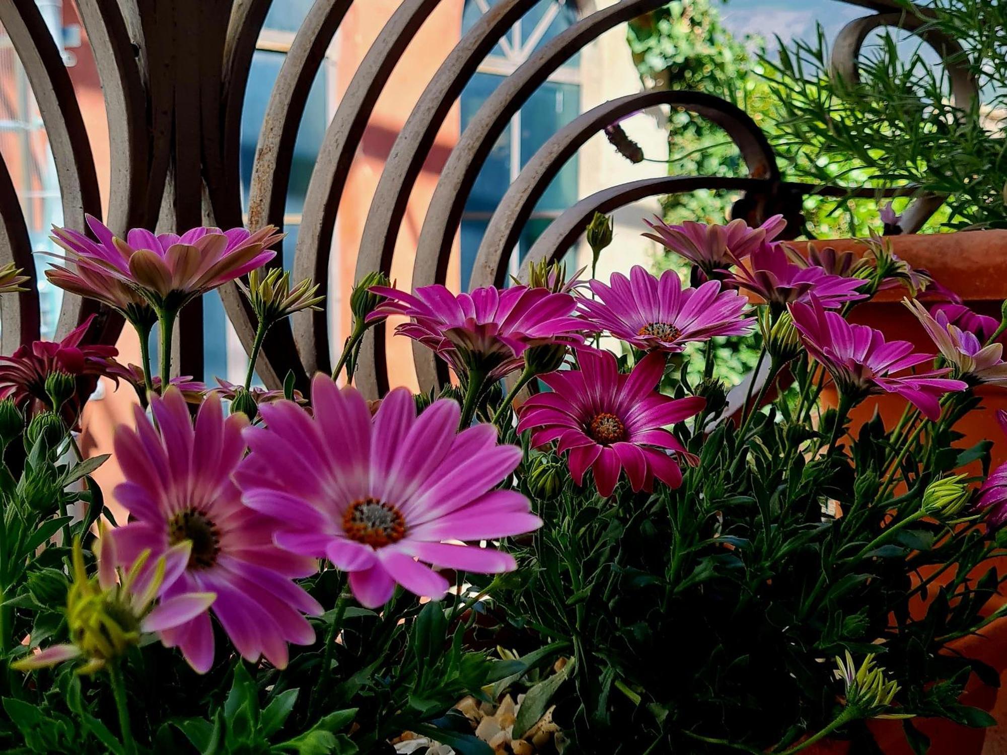 Holiday home Casa Da Anna 2 Pratola Peligna